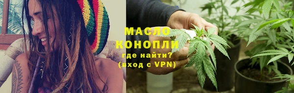 индика Ладушкин