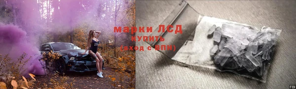 индика Ладушкин
