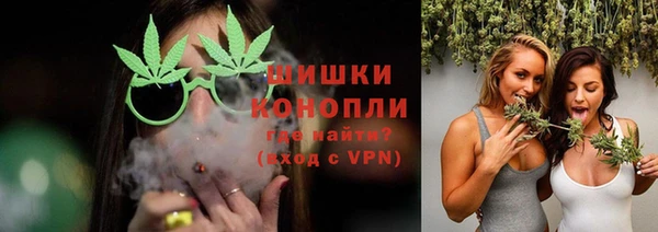 индика Ладушкин