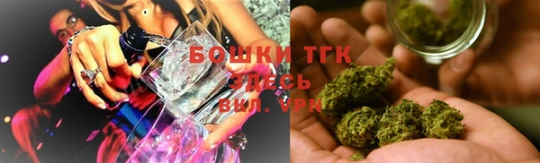 индика Ладушкин