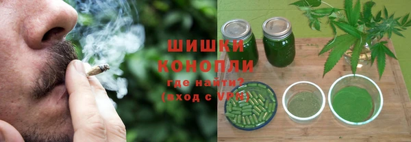 индика Ладушкин