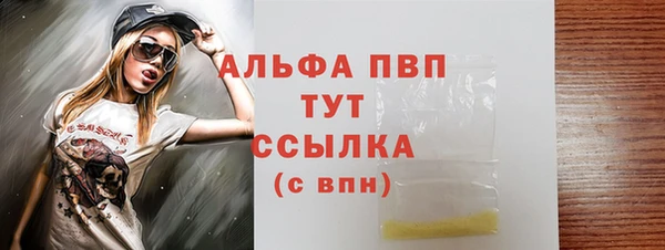индика Ладушкин