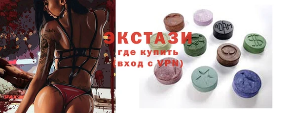 индика Ладушкин
