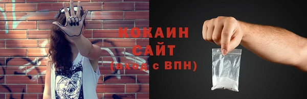 индика Ладушкин