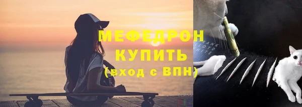 индика Ладушкин