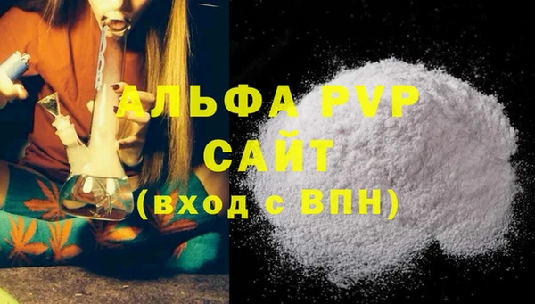 индика Ладушкин