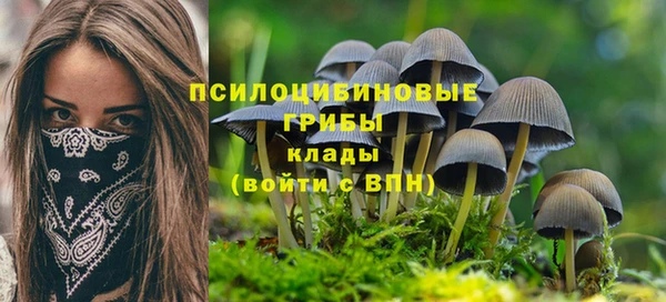 гашик Лагань