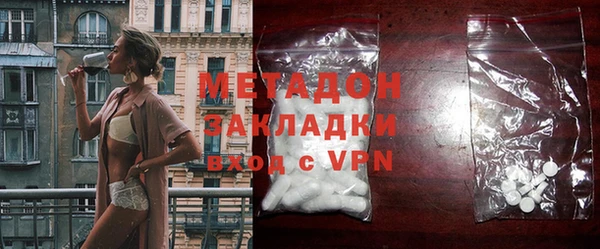 индика Ладушкин