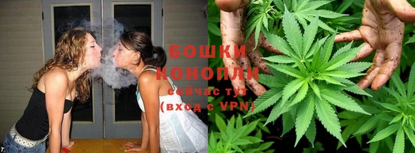 индика Ладушкин