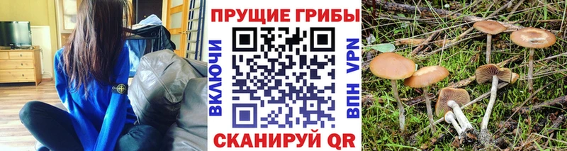 Псилоцибиновые грибы мухоморы  Рязань 