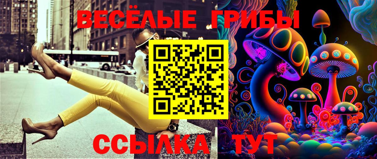 Рязань  Галлюциногенные грибы MAGIC MUSHROOMS  Вход с VPN 