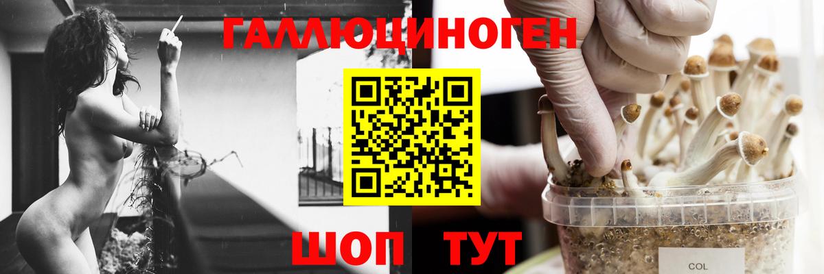 Псилоцибиновые грибы ЛСД Рязань